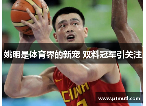 姚明是体育界的新宠 双料冠军引关注